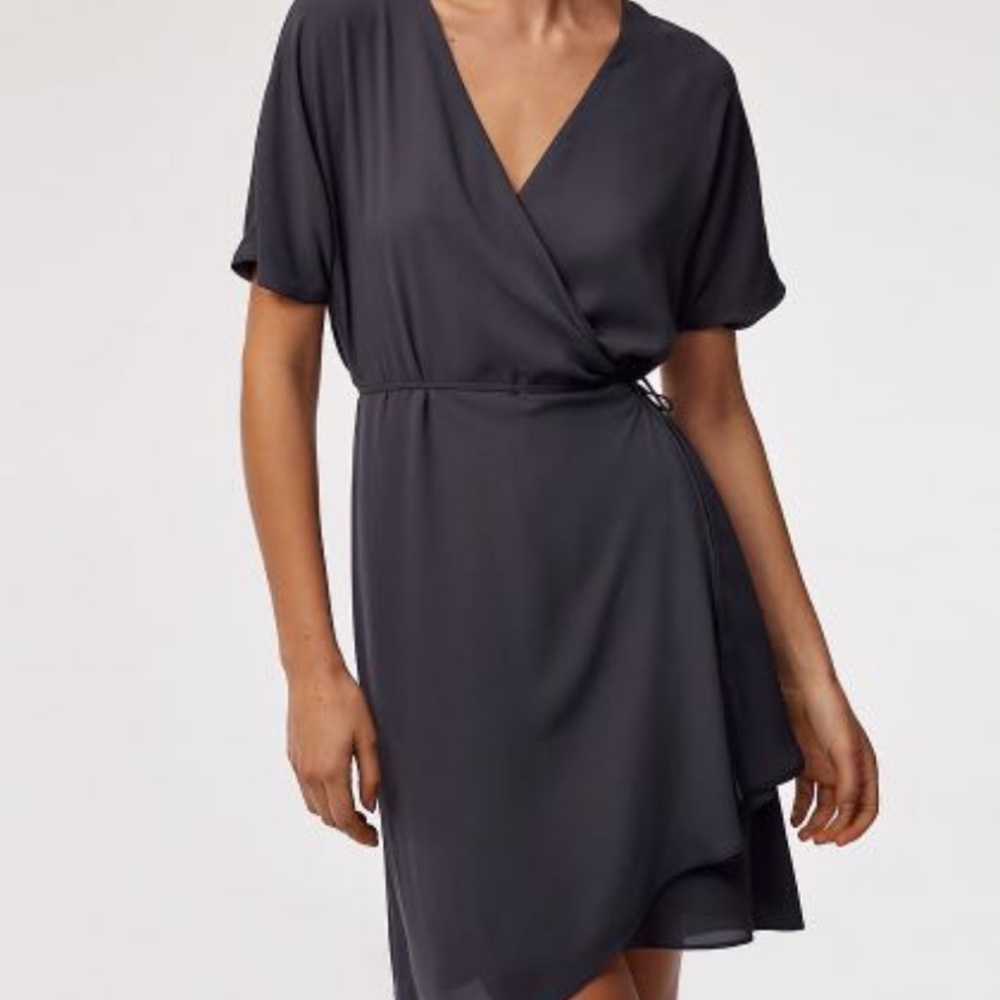 Aritizia Dress in Indigo Colour